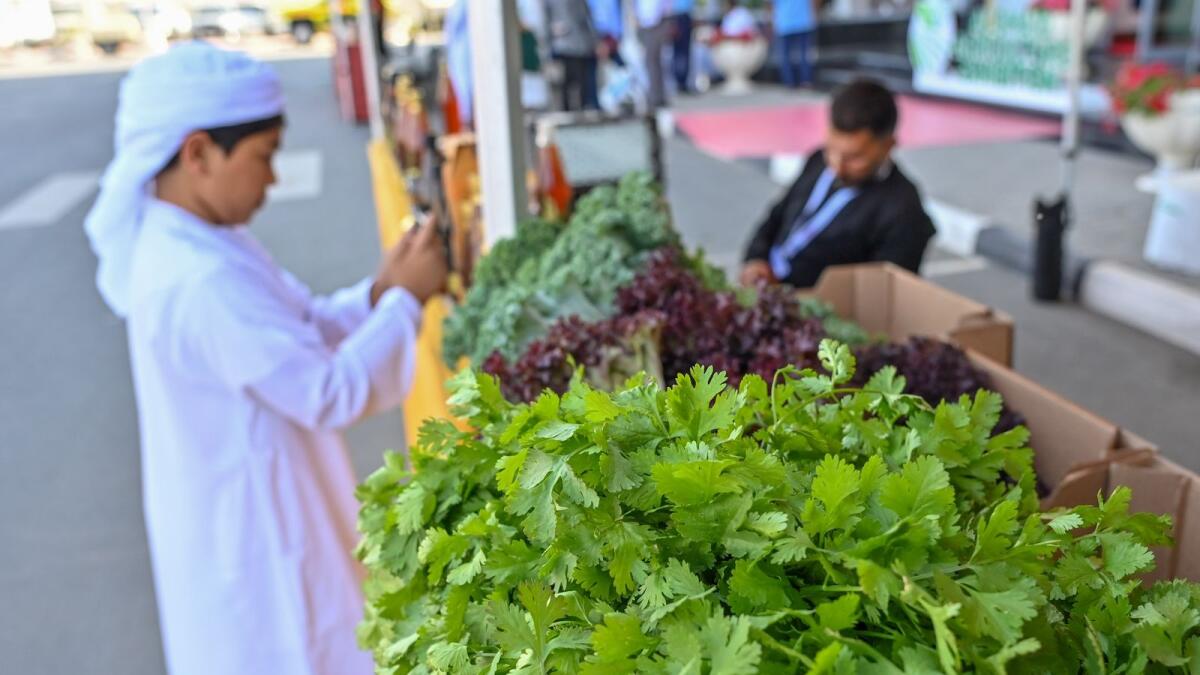 A stand at the Al Dhaid Agricultural Exhibition.