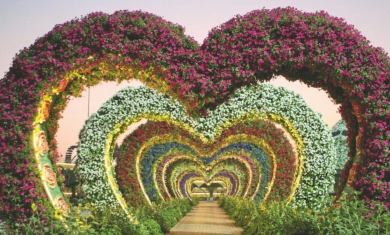 Dubai Miracle Garden reopens for its twelfth season;  Tickets, schedules and more