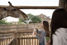 Dubai Safari Park will open its doors for a new season on October 5