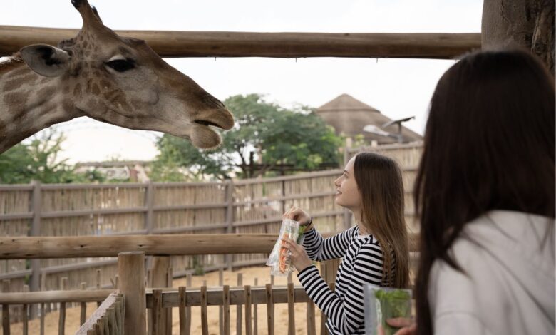 Dubai Safari Park will open its doors for a new season on October 5