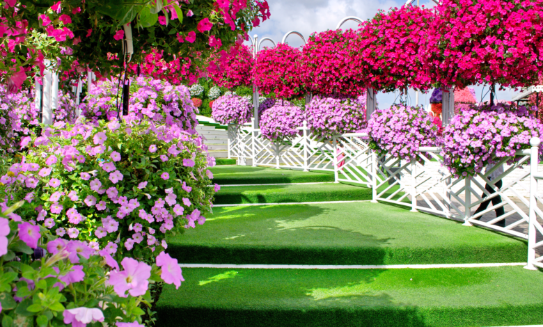 Dubai's Miracle Garden shines again for its twelfth season with stunning floral displays
