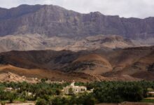 Oman suspends conversion of tourist entry permits to work visas