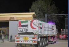 Ten UAE aid trucks carrying 16,520 food parcels enter Gaza