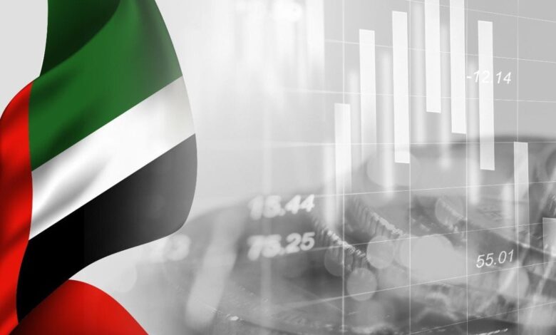 UAE Institutional Investors Drive Surge in Domestic Stock Acquisitions in 2023