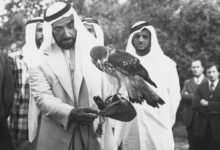 Everything you need to know about falconry in Dubai