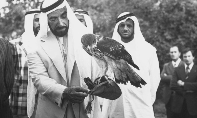 Everything you need to know about falconry in Dubai