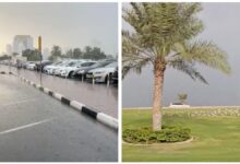 See: Heavy rains hit Dubai and Sharjah;  Dozens of birds seen resting on the roadside - News