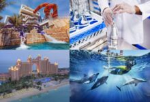 Atlantis, The Palm and Aquaventure maintain EarthCheck Silver certification for the fourth year
