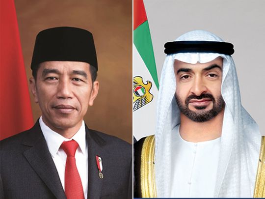 20240221 indonesia, uae presidents