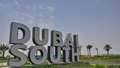 Pros and cons of living in South Dubai