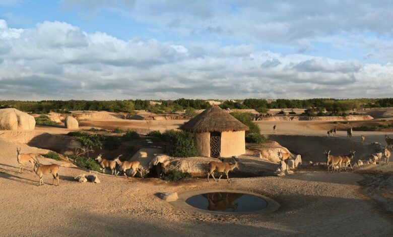 United Arab Emirates: Free entry to popular zoo announced for today - News