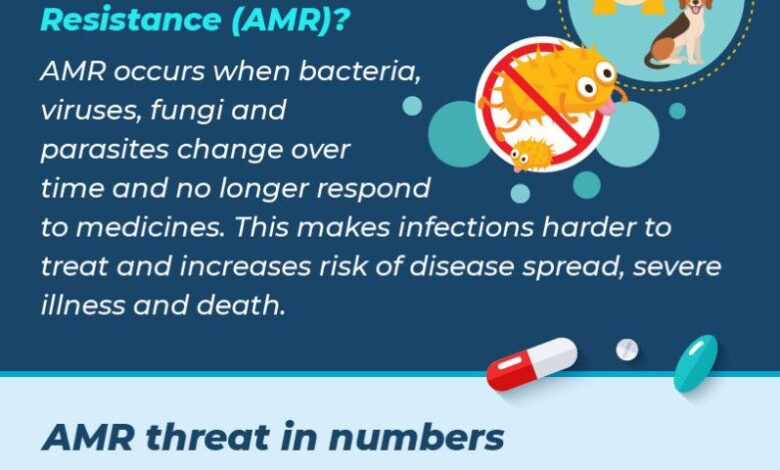 Antimicrobial resistance-80-1709195618106